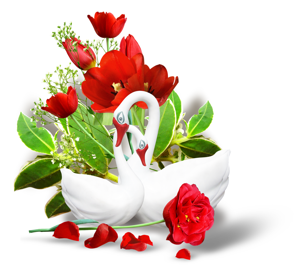 Flor Realista Colorida PNG - Cisne e Flores PNG em alta resolução grátis!