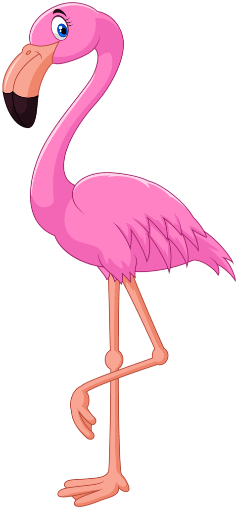 Ilustração Flamingo Rosa PNG com fundo transparente Grátis!