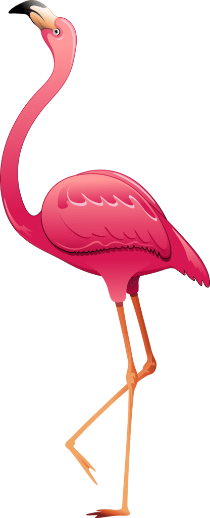 Imagem Pássaro Flamingo PNG com fundo transparente grátis!