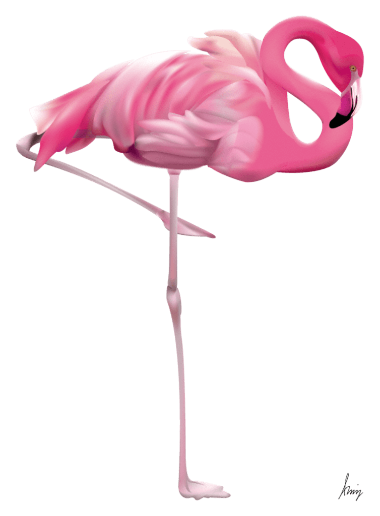 Lindo Flamingo Rosa PNG - Kit Digital flamingo png em alta resolução!