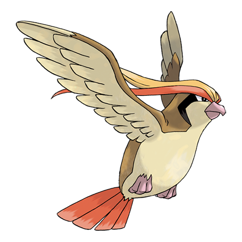 Pidgeot Pokémon PNG