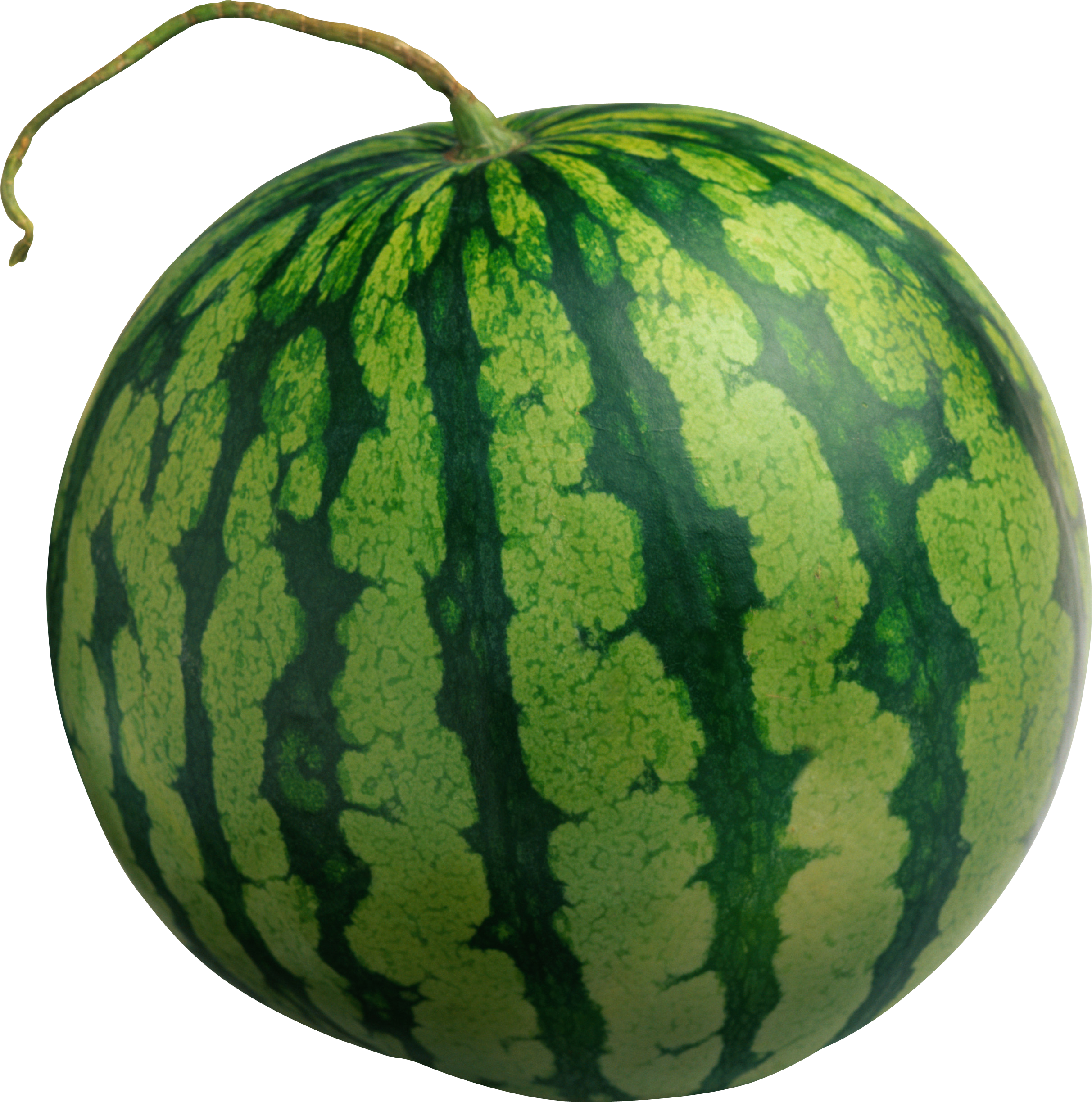 Arquivos Backgroun Transparente Watermelon Png