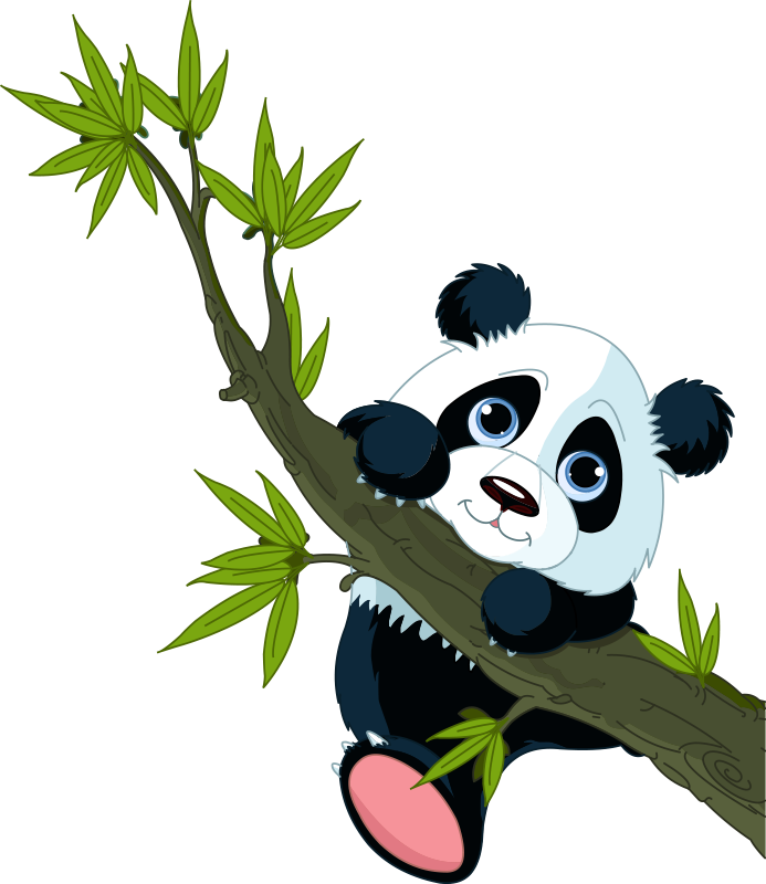 Árvore Panda PNG - Panda PNG - Imagem de panda no bambu em png
