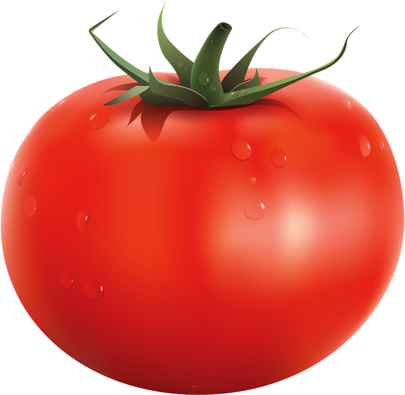 Ilustração de Tomate PNG com fundo transparente grátis